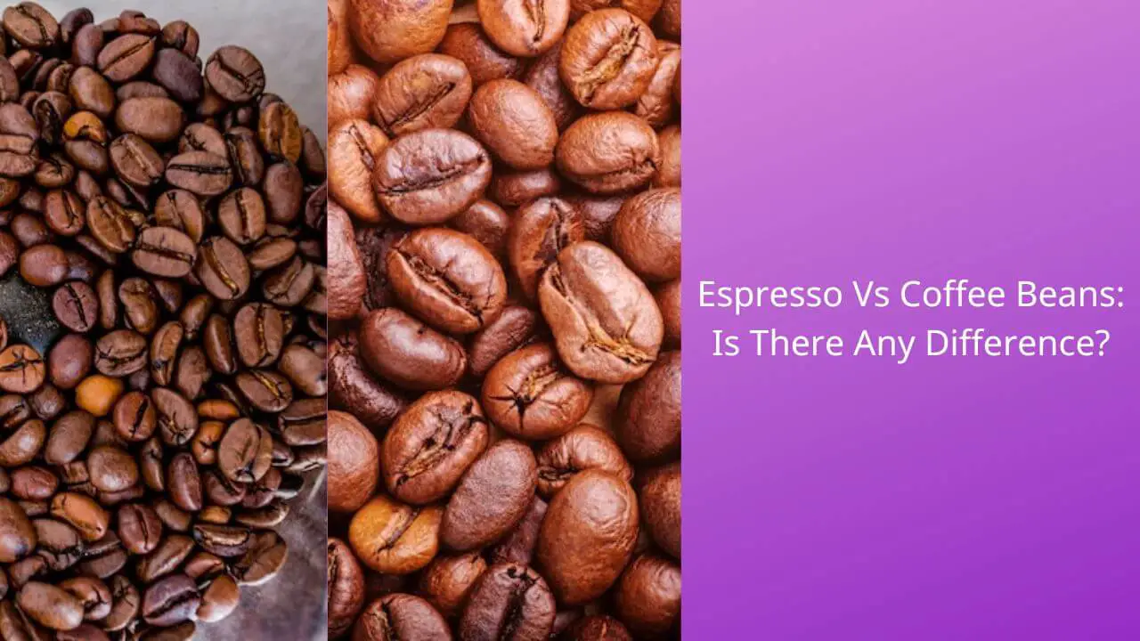 difference-between-espresso-and-coffee-beans